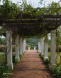 Botha-House-entrance-pergola-looking-out25JPG