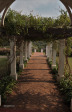 Botha-House-entrance-pergola-looking-out26JPG