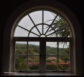 Botha-House-forest-view
