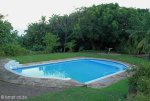 Botha House - swimming pool (1)