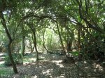 Umdoni Park Environmental Centre -  (6)