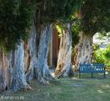 pinetown-church-of-st-john-baptist-cnr-st-johns-payne-188