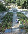 pinetown-church-of-st-john-baptist-ground-plan-of-original-church-2