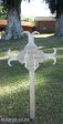 pinetown-church-of-st-john-baptist-military-grave-burger-p-pretorius-jacobsdal-commando-1902