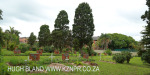 Marrianhill Cemetery grave yard scene  (12)