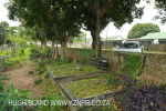 Marrianhill Cemetery graveyard