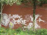 New Germany - Paint Ball & Grafitti - S 29.48.06 E 30.53.13  (2)