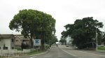 Pinetown - Crompton Street - S29.48.57 E 30.51 (1)