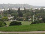 Pinetown - Lahee Park Sports Club - S 29.48.28 E 30.51.19 Elev 362m (4)