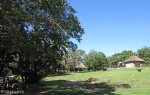 Paradise Valley Reserve - Entrance - S 29.49.56 E 30.53.32 Elev 291m (2)