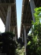 Paradise Valley Reserve - N3 overpass  - 1971 (1)