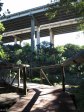 Paradise Valley Reserve - N3 overpass  - 1971 (10)