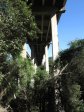 Paradise Valley Reserve - N3 overpass  - 1971 (5)