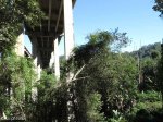 Paradise Valley Reserve - N3 overpass  - 1971 (6)