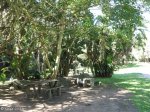 Paradise Valley Reserve - Picnic site (1)