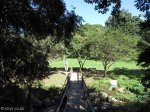 Paradise Valley Reserve - Picnic site (3)