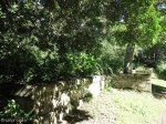 Paradise Valley Reserve - Remnants of 1887 waterworks and storage dam - filter tanks (2)