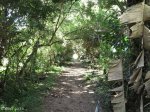 Paradise Valley Reserve - River Walk (6)