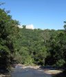 Paradise Valley Reserve - Umbilo River Walk (10)