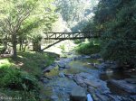 Paradise Valley Reserve - Umbilo River Walk (11)