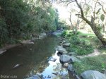 Paradise Valley Reserve - Umbilo River Walk (12)