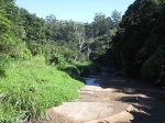 Paradise Valley Reserve - Umbilo River Walk (13)
