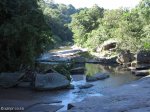 Paradise Valley Reserve - Umbilo River Walk (14)