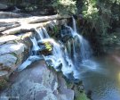 Paradise Valley Reserve - Waterfall & Umbilo River (12)