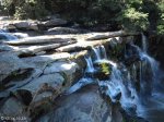 Paradise Valley Reserve - Waterfall & Umbilo River (15)