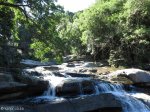 Paradise Valley Reserve - Waterfall & Umbilo River (9)