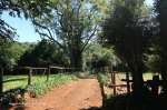 Ottos-Bluff-Hely-Hutchinson-entrance-road