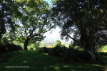 Ottos-Bluff-Hely-Hutchinsons-lodge-city-views-1