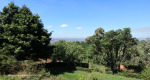 Ottos-Bluff-Hely-Hutchinsons-lodge-city-views-2