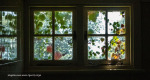 Ottos-Bluff-Hely-Hutchinsons-lodge-window-detail