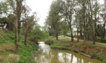 PMB - Alexandra Park - Footbridge to Chapel Street (8)