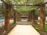 PMB - Alexandra Park Swimming Bath - Pergola & Kiosk