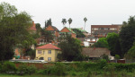 PMB - Alexandra Park view of Burger Street residences