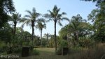 pmb-percy-taylor-rockery-alexander-park-princess-eliz-drive-s-29-34-42-e-30-23-11-5