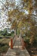 pmb-umsindusi-mcfarlane-footbridge-alexander-park-s-29-36-34-e-30-23-13