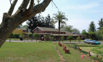 PMB - Allan Wilson Moth Hall (50)
