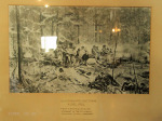 PMB - Allan Wilson Moth Hall - Allan Wilson Last Stand - Photo