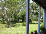 Bishopstow - Bishop Colenso Home  - Gardens - eastern facade -  (9)