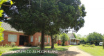 Bishopstowe - St Jakobi Lutheran Kirche outbuildingd (4)