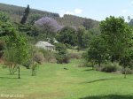 pmb-blackridge-rail-bridge-old-rail-route-s-29-36-37-e-30-19-00-elev-907m-1