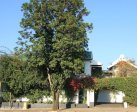 214-boshoff-street