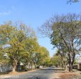 burger-street-east-to-boshoff-views-1