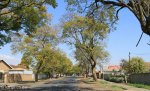 burger-street-east-to-boshoff-views-2