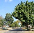 burger-street-east-to-boshoff-views-3