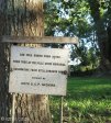 delville-wood-memorial-leinster-road-oak-tree-from-delville-wood