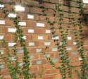 delville-wood-memorial-leinster-road-wall-of-rememberence-1